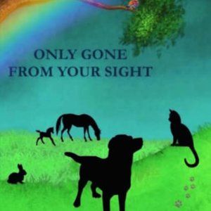 Only Gone From Your Sight: Jack McAfghan's Little Guide to Pet Loss and Grief